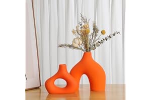 Sawoake Set di 2 vasi in ceramica arancione per decorazioni moderne per la casa, rotondi, opachi, per erba della pampa, in stile minimalismo, per soggiorno, matrimonio