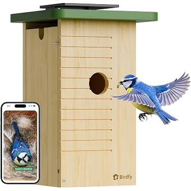 Nichoir éducatif Enfants Nichoir Mésange Duvoplus - Kit Construction Bois 12 ,5x14,5x36cm Cadeau éducatif Bricolage Nichoir éducatif Enfants Nichoir Mésange Duvoplus - Kit Construction Bois 12 ,5x14,5x36cm Cadeau éducatif Bricolage