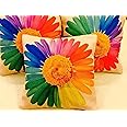 AEROHAVEN™ Set of 5 Floral Decorative Hand Made Jute Throw/Pillow Cushion Covers - CC23 - (Multicolor, 16 Inch x 16 Inch)