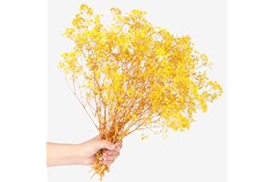SONGJUM Dried Baby's Breath Flowers Bouquet Natural Dried Flowers Baby's Breath Real Gypsophila Branches for Wedding Table Vase Party Garden DIY Wreath Floral Home Decor（Yellow）
