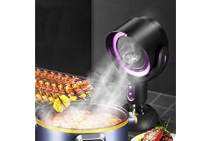 MENDUNER Extractor de Aire Portátil, Filtro Desmontable de 2 Velocidades de Iones Negativos, Campana Extractora Portátil, Taza de Recolección de Aceite, Extractor de Cocina para Barbacoa