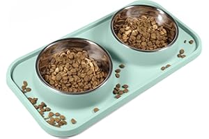 L.D.Dog Cat Food Bowls, Cat Bowls Non-Skid and Non-Spill Silicone Mats with Stand, Removable Stainless Steel Food and Water Dishes for Cats, Small Size Dogs (Aquamarine)