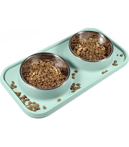 Erhöhter Futternapf Aus Porzellan Für Katzen & Kleine Hunde – 2 Schalen, Metallständer