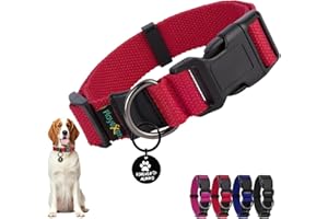 PLAYEXEN Collare Cane, Collare Regolabili in Morbido Cotone per Cani & Gatto Taglia Piccola Media Grande, Collari per Cane Personalizzato con Medaglietta Rimovibile, 35-50/2,5cm (M), Rosso