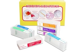 Bysameyee Lot de 35 lames de microscope préparées avec 7 types de spécimens - Pour enfants et adultes - Éducation préscolaire - Éveil scientifique
