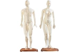 2 mannequins d’acupuncture (homme/femme) [Newgen Medicals]