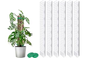 MIXC Moosstab Rankhilfe 6 Stück 61cm Pflanzstab Plastik Pflanzenstütze für Monstera Kletterpflanzen Zimmerpflanzen mit 3m Pflanzenbänder Klett