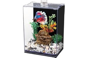 BEGONDIS Betta Fish Tank with LED Light, 15x10x20 cm, Acrylic Aquarium with Cover and Black Wall Paper