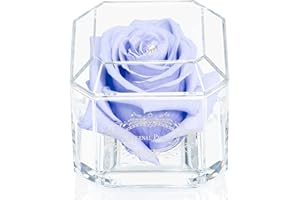 A 100% Real Rose That Lasts Years - Eternal Petals, Handmade in UK – White Gold Solo with A Multicolor Swarovski Crystal (Light Lavender)