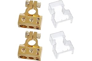 HUAZIZ 2PCS Terminales de Bateria de Coche 2/4/8/10 AWG Conectores de Batería Abrazadera de Terminal Positivo Negativo +/- con Cubierta Protectora Transparente, Oro
