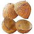 Q8 TWINKLE Kerala Natural Coconut Shell | Coconut Raw Shell | Coconut Shell for Eco-Friendly Home Decor and Crafts - (UNPOLISHED - PACK OF 4 PIECE)