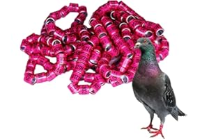 2025 Taubenbeinringe, Vogelfußringe - 50 Stück Taubenringe Taubenzubehör Bänder, Pigeon Supplies Bänder, Vogelfußringe, Pegeon-Zubehör für Rennpapageien, Küken, Enten Aibyks
