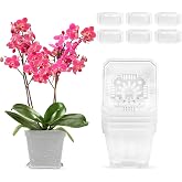 duozoanz Orchid Plant Pot 6 Piece Plastic Pots 10 cm Small Pots and Saucer Drainage Holes Transparent Planter for Orchids for
