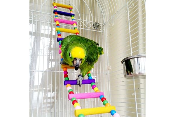 Échelle en bois/perchoir pour oiseau (perroquet, perruche, cacatoès, ara macao) ou rat, gerbille, souris, chinchilla, cochon d'Inde, écureuil