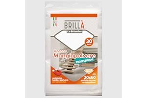 BRIANCASA Panni catturapolvere USA e Getta Professional 20x60 cm 30 Pezzi