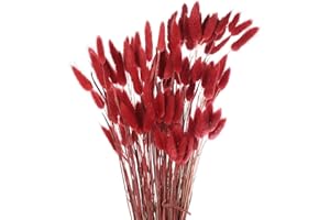 sourcing map 120pcs Natural Rabbit Bunny Tails Dried Flowers 24" Mini Pampas Grass Lagurus Ovatus Bunch for Floral Wedding Decor Christmas, Red