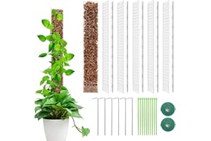 LangRay 6 Stück Moosstab für Monstera Rankhilfe Zimmerpflanze 24 Zoll / 61cm Pflanzenstab aus Kunststoff Stab Rankhilfen für Kletterpflanzen Pflanzstab Pflanzenstütze Kletterhilfe Moss Pole