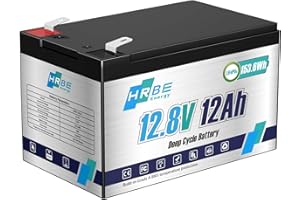 HRBEENERGY Batería LiFePO4 recargable de 12V 12Ah, batería de litio de ciclo profundo, BMS integrado de más de 2000 ciclos, perfecto para pequeños UPS, sistema de alarma para el hogar