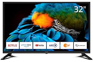 DYON Smart 32 XT 80 cm (32 Zoll) Fernseher (HD Smart TV, HD Triple Tuner (DVB-C/-S2/-T2), Prime Video, Netflix & HbbTV) [Mode