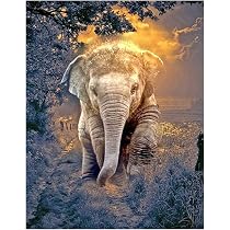 DCIDBEI Diamond Painting Quadrato 50x40 Cm - Squadra Di Elefanti Al Tramonto - Kit Completo Mosaico Fai Da Te Per Adulti