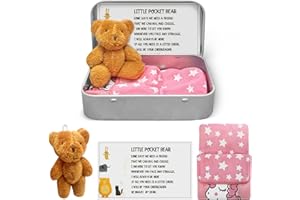 LTMMC Little Pocket Bear Hug in A Box, Stuffed Animals, Plush Bear Doll Keychain as Positivity Gifts, Miss You Gifts, First Day at School Gifts Soft and Cute Pocket Hugs Bear for Kids and Women
