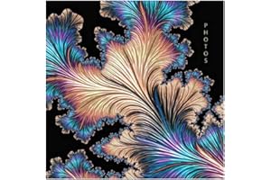 BOPPON Picture This Black Abstract Feather Cover Photo Album Holds 200 Slip In Family 6'' x 4'' Photographs, Multi