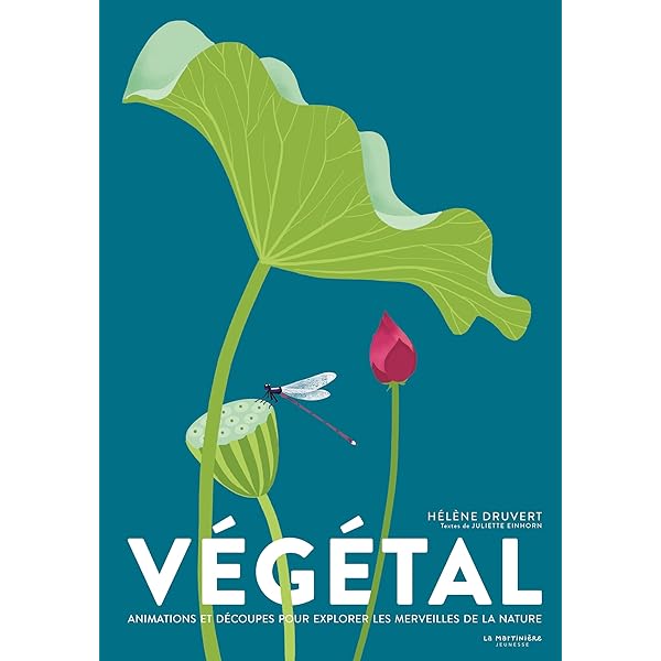 Paris s'envole : Druvert, Hélène, Druvert, Hélène: Amazon.fr: Livres