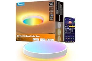 Govee Plafon LED Techo RGBIC, 38cm Lámpara Techo Inteligente, 4300lm Plafón LED Regulable 48,5W Trabajar con Matter, Alexa, Google Assistant, Luz Interior para Salón, Dormitorio, Cocina, Pasillo