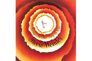 Songs In The Key Of Life [VINYL]