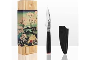 KOTAI | Couteau d’Office | Couteau à Fruits | Lame de 9 cm | Martelé et Aiguisé à la Main | Manche en Pakkawood | Acier Inoxydable Japonais 440C Ultra-Tranchant | Pleine Soie Cachée