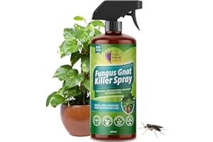 READY STEADY DEFEND Fungus Gnat Killer Spray 200ml | Organic Protection Against Sciarid Flies | Effective for Houseplants, Seedlings | Safe for Indoor & Outdoor Use | Targets Adults & Larvae | Eco-Friendly Formula