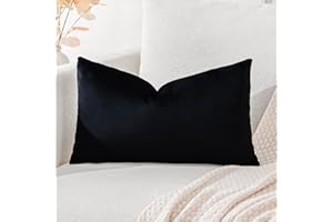 Artscope Housse de Coussin en Velours Décoratif Canapé Taie d'oreiller Super Doux Decoration Maison Salon Chambre pour Canapé 30x50cm Noir