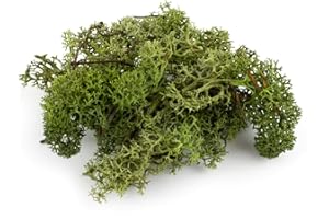 WWS WAR WORLD SCENICS War World Scenics Lichen Dark Green Moss Model Foliage 60g – Model Railway Wargame Scenery Landscape Modelling Trees Bushes Hedges Diorama Basing Material