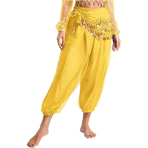 Damen Bauchtanz Hose Mit Pailletten | Orientalische Tanzhose Lang | Low Rise Pumphose