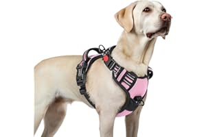 rabbitgoo Szelki dla psa z 3 klamrami, różowe, L