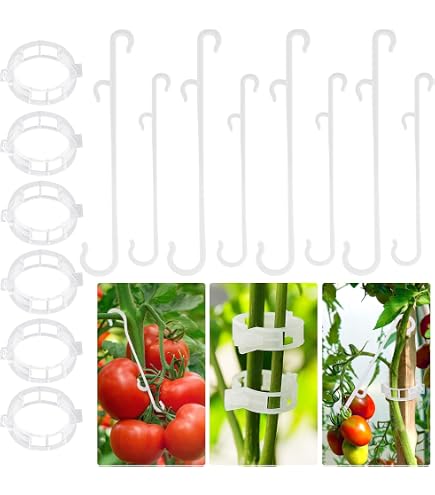 Organizzare Viti E Steli 200 Pezzi Clip Per Piante In Plastica - Supporto Per Pomodori, Cetrioli, Rampicanti, Giardinaggio Supporti Per Piante