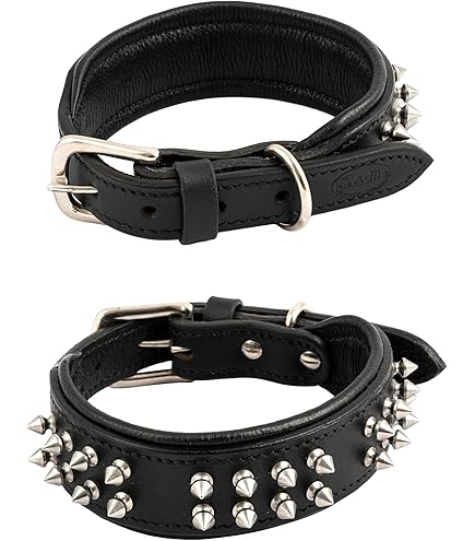 SSM Pet Mart Spiked & Studded PU Leather Dog Collar – Heavy Duty SSM Pet Mart Spiked & Studded PU Leather Dog Collar – Heavy Duty