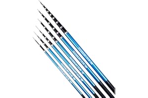 FESTIVOLOGY Asta telescopica per bandiera, 7 m