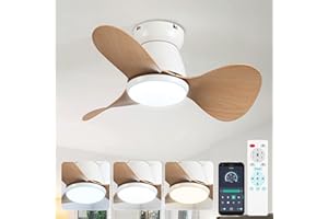 ycwdcz Klein Deckenventilator mit Beleuchtung Leise DC Deckenventilator mit Fernbedienung 6 Stufen Reversibel 3 Klingen 3 CCT, Mini Led Lampe mit Ventilator für kleine Schlafzimmer Kinderzimmer
