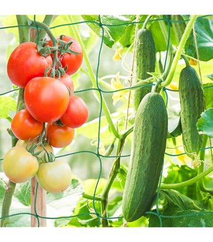 Plantennet, 1,8 x 2,7 m steunnet, tuin, broeikas, accessoires, klimhulp, klimnet, klimhulp, tuin
