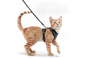 MEGGI Komfortables Katzengeschirr mit Leine - Atmungsaktives Air Mesh, Geeignet für Halsumfang 21-28 cm, Brustumfang 34-41 cm - Leicht anzulegen und abzunehmen - Perfekt für Spaziergänge mit Ihrer Katze