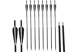 AMEYXGS 12pcs Flèches pour Arbalète Mélangées de Carbone de Boules D'arbalète 16" 17" 18" 20" 22" pour la Pratique de Chasse et Pratique de Tir à l'arc