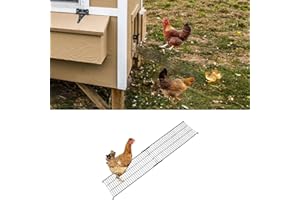 KEAJUIDY Hühnerstallrampe Hühnerleiter Rampe für Hühnerstall Länge verstellbar Hühnerleiter für Beinprobleme oder kann Nicht fliegen Hühner