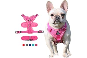 Lairle Puppy Harness,Cat Harness and Lead Set,No Pull Dog Cat Harness,Soft Mesh Breathable Reflective Puppy Cat Dog Vest Harnesses for Small Dogs Cats