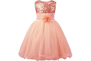 JerrisApparel niña Lentejuela Flor Princesa Vestido de Fiesta de cumpleaños de la Boda