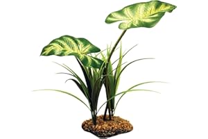 Komodo Broadleaf Canopy pour Reptile/Amphibien