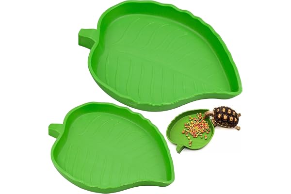 YUENX 2 Pièces Bol d'eau de Nourriture Abreuvoir Tortue Plat de Reptile pour Petits Animaux domestiques, Lézard, Araignée, Scorpion (Vert)