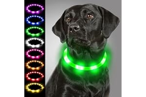 Joytale Light Collar Dog USB Rechargeable Dog Collar Luminous for Large Medium Small Dogs and Puppies, LED Collar with 3 Modes for Safety, Green
