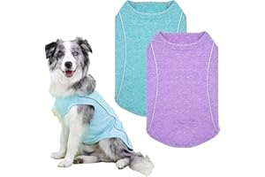 VIVI BEAR 2 Pièces Chemise pour Chien avec débardeur athlétique à Rayures réfléchissantes T Shirt pour Chien, Gilet sans Manches Respirant et Extensible, Bleu+Violet, XL