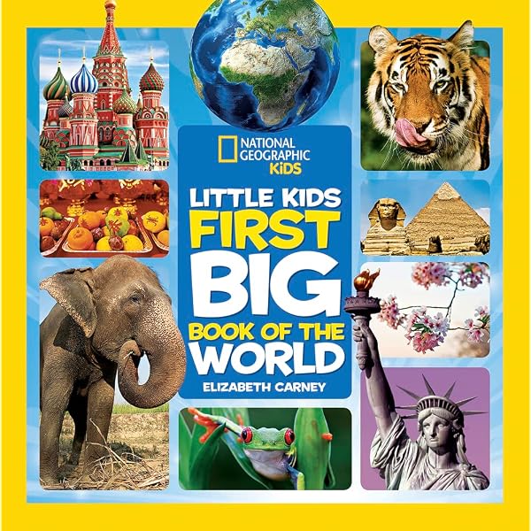 First Big Book of Why - NC Kids Digital Library - OverDrive